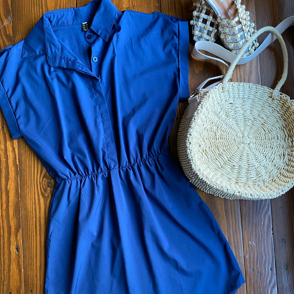 Basic Blue Collared Dress